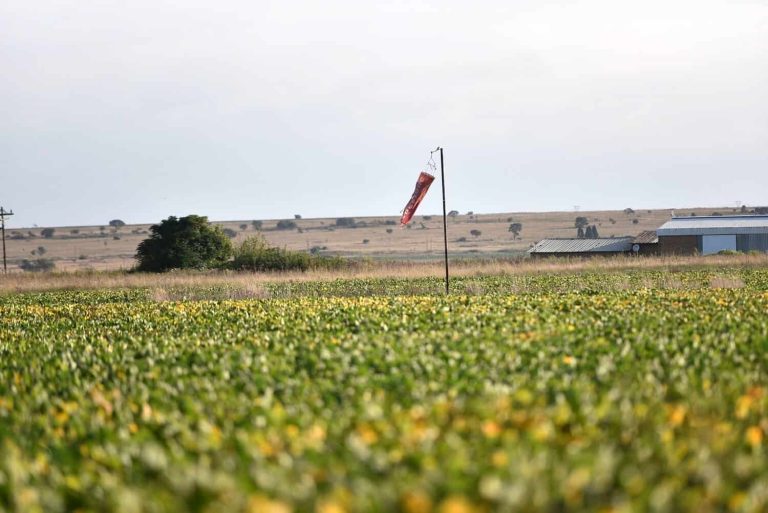 202603Unisa-airport-claim-falls-flat-on-closer-look