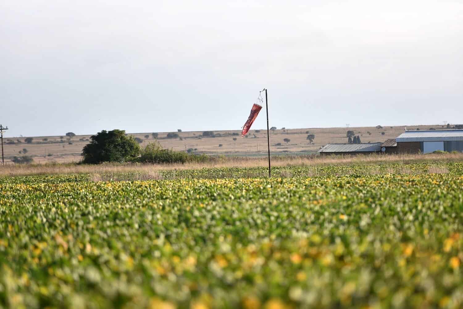 202603Unisa-airport-claim-falls-flat-on-closer-look