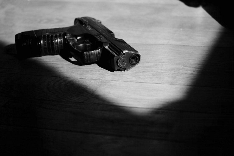 202603Western-Cape-High-Court-appeal-culpable-homicide-firearm