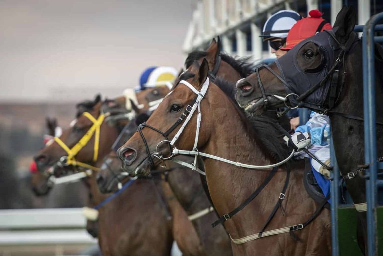 202603bookies-betting-tax