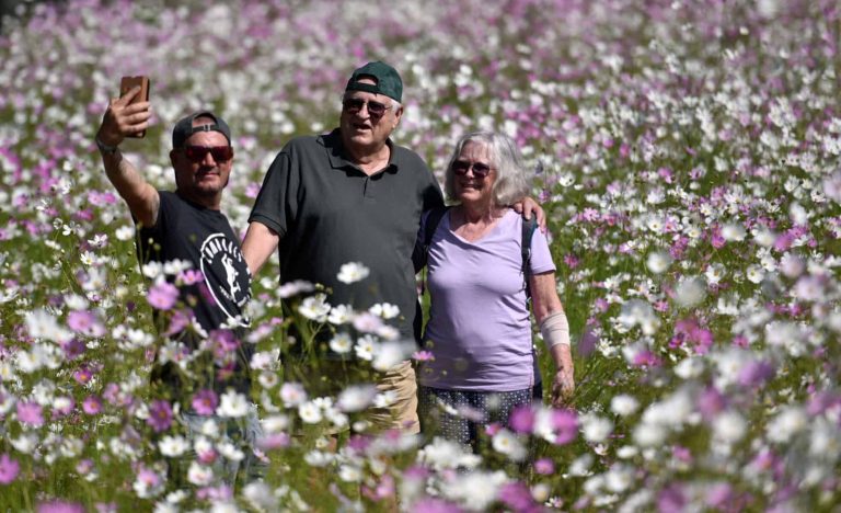 202603cosmos001_55177150338_o-scaled-1