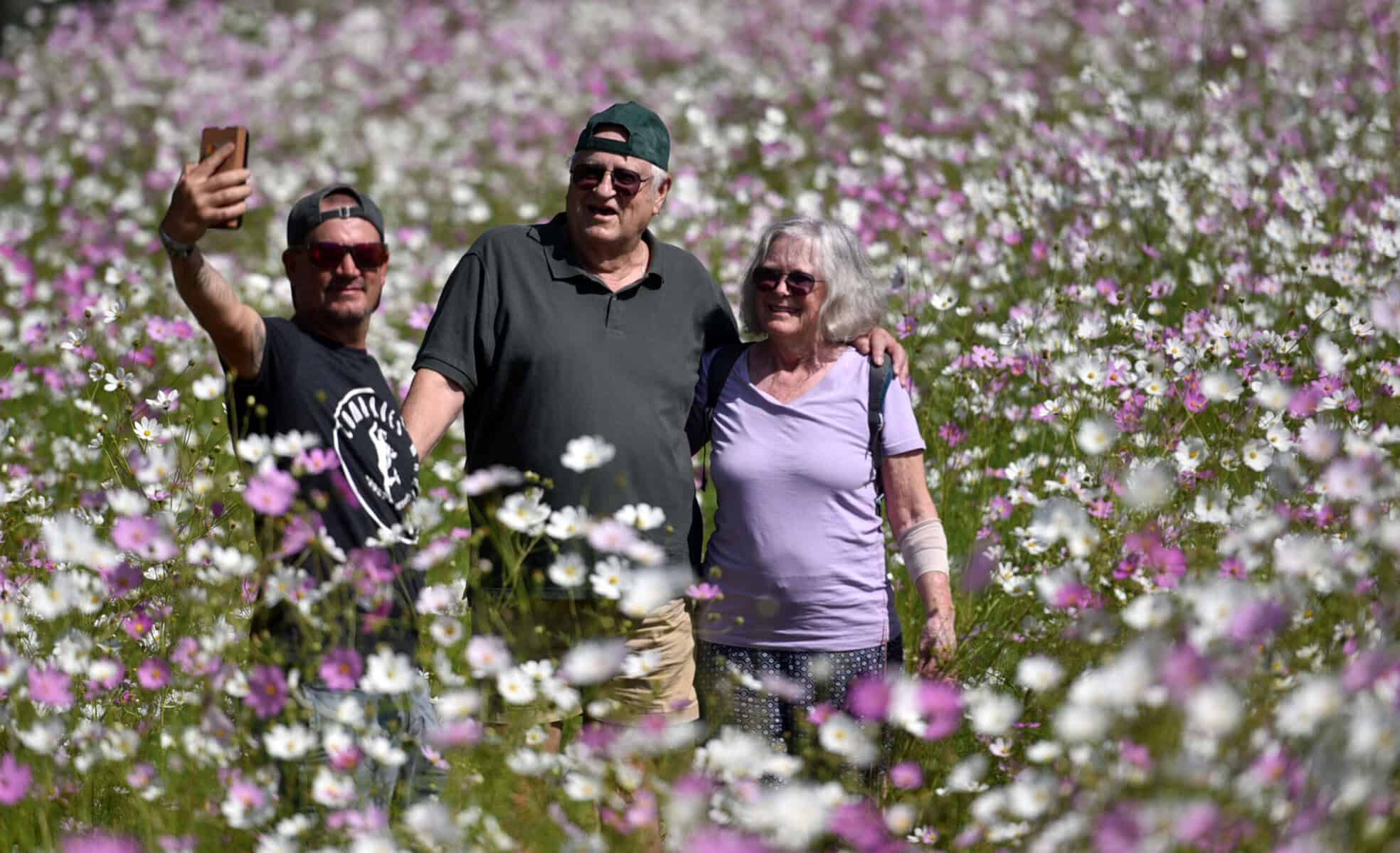 202603cosmos001_55177150338_o-scaled-1