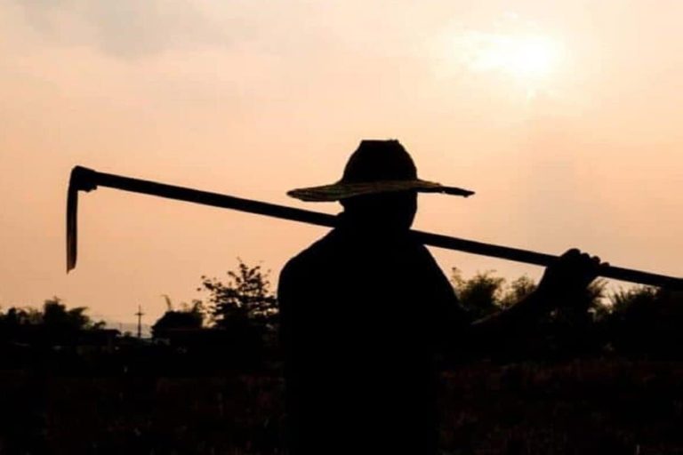 202603farmers-killings