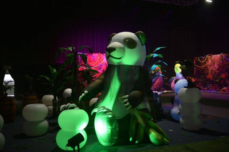 202603rand-show-festval-jungle-magic