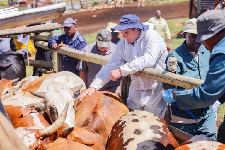 Minister John Steenhuisen Joins MEC Vuyiswa Ramokgopa For FMD Vaccination Roll-Out Outreach
