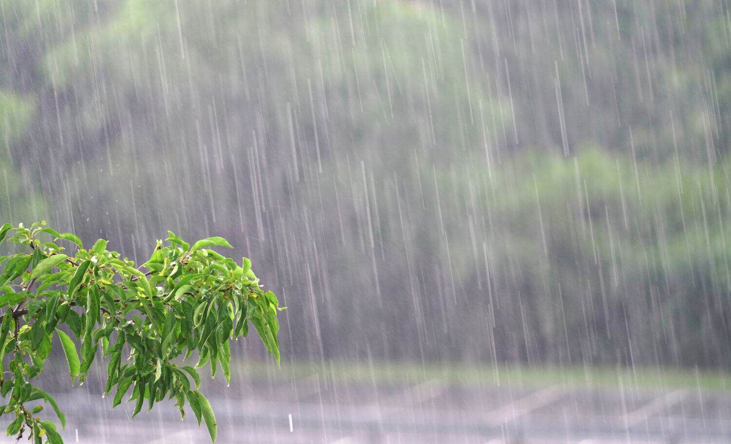 parking lot in the heavy rain in summer thunderstorm