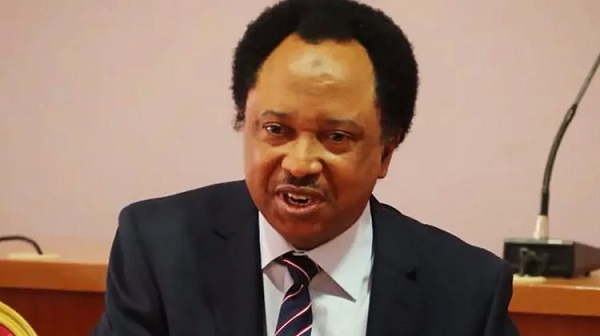 Shehu-Sani-1