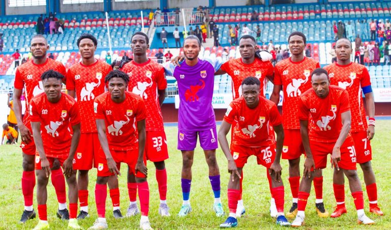 Wikki-1-e1772917381556