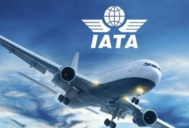 iata-e1733836811449