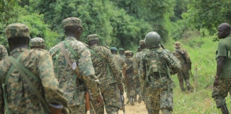 202305Screen-Shot-2023-05-26-at-09.37.29