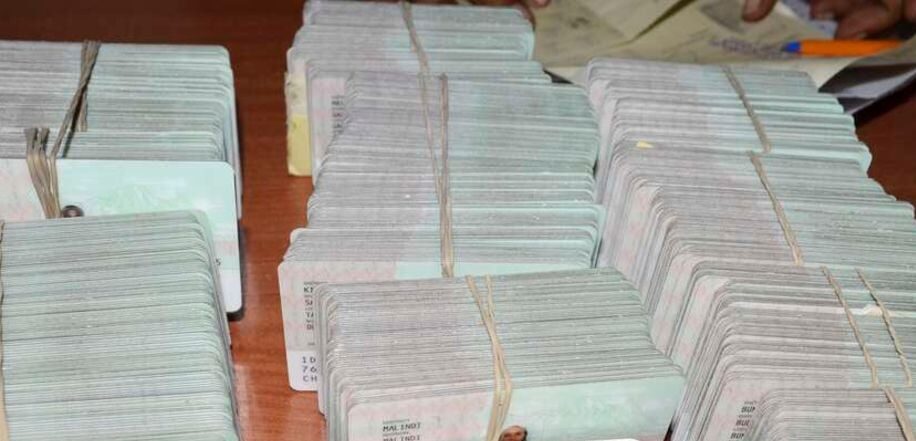 202311id-cards-e1699559787666