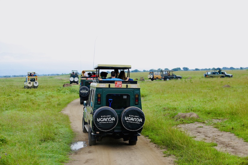 202507Tourists-in-the-park