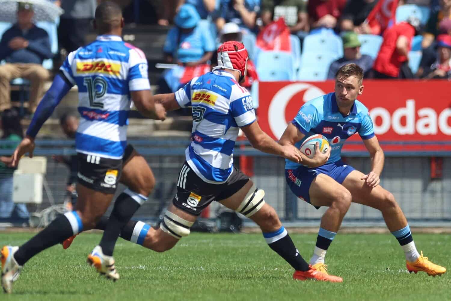 202604David-Kriel-Bulls