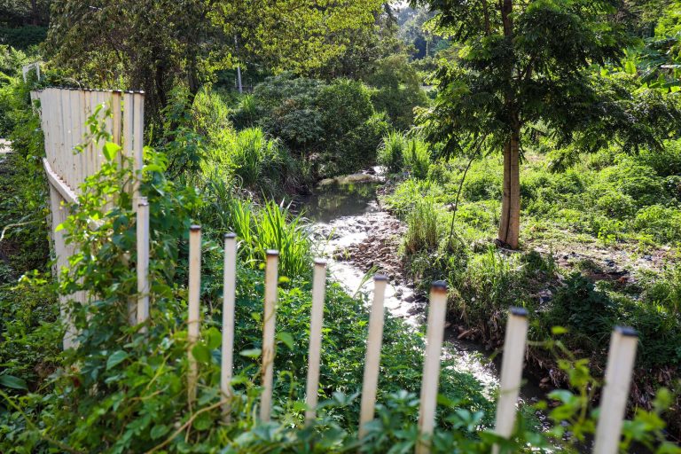 202604DnNairobiRiver1404f2