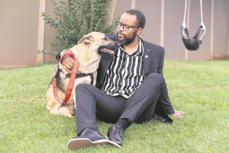 202604Dog-poisonings-spark-fear-of-home-invasions-in-Joburg