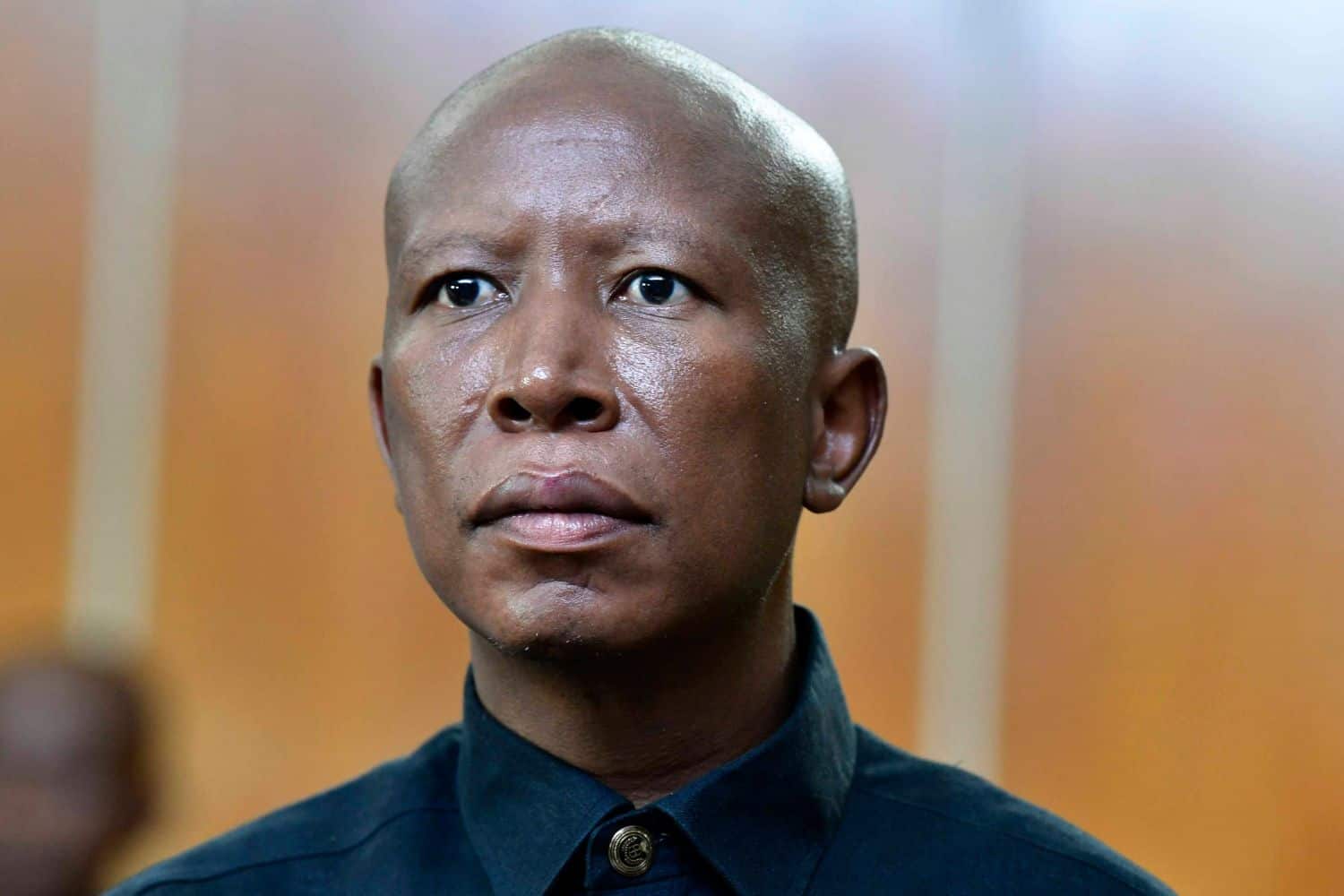 202604EFF-leader-Julius-Malema-firearm-discharge-sentencing