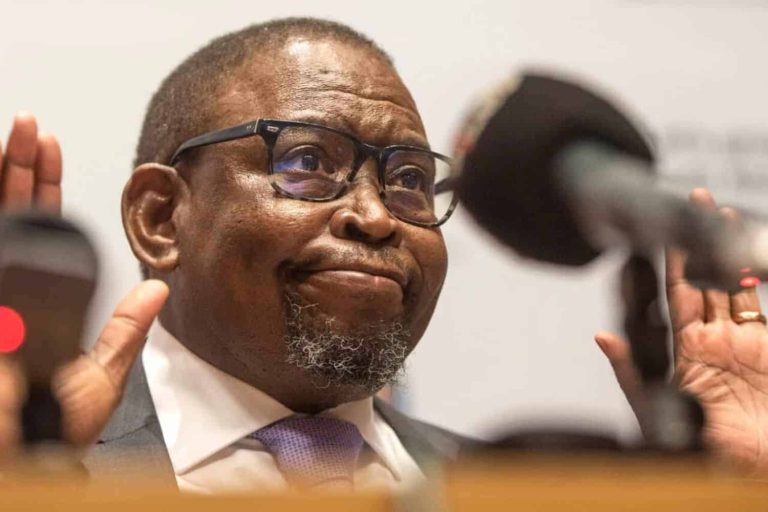 202604Enoch-Godongwana-fuel-levy-cut-extension