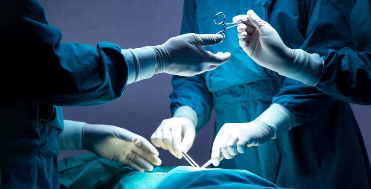 202604Gauteng-hip-surgery-wait-list-stretches-to-ten-years