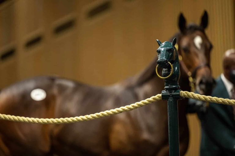 202604Horse-sales-auction-2026