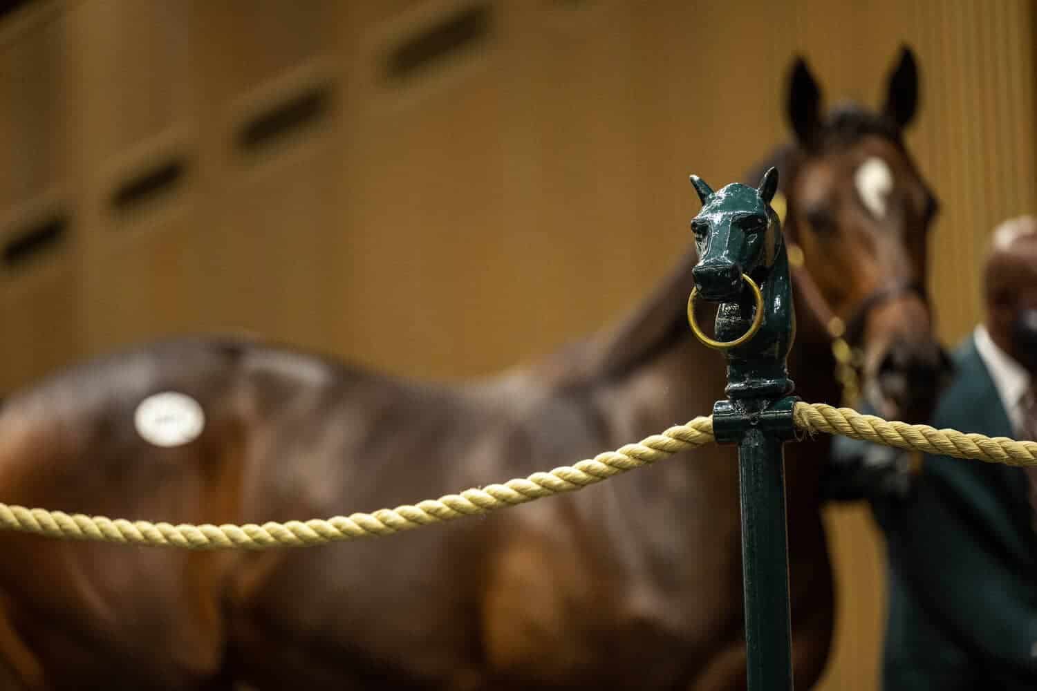 202604Horse-sales-auction-2026