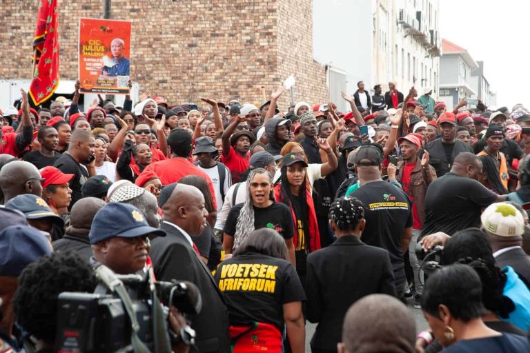 202604Julius-Malema-firearm-discharge-sentencing-ICYMI-15-April-2026