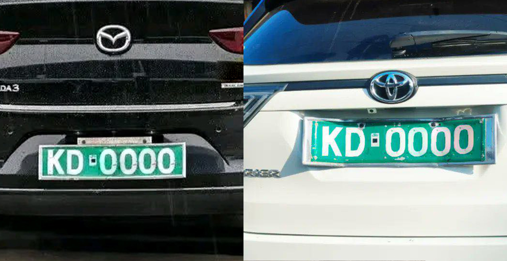 202604KD-plates