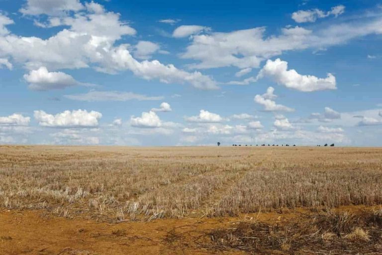 202604Land-reform-promises-stolen-by-political-elites-again