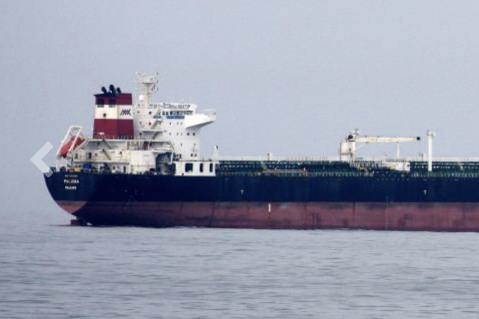 202604MT-Paloma-e1775469253699