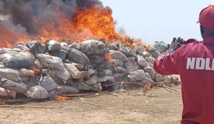 202604NDLEA-Sets-83.35-Tons-Of-Drugs-Ablaze-In-Ondo