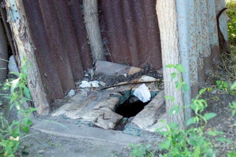 202604One-thousand-pupils-share-two-overflowing-pit-toilets-daily