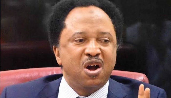 202604Shehu-Sani