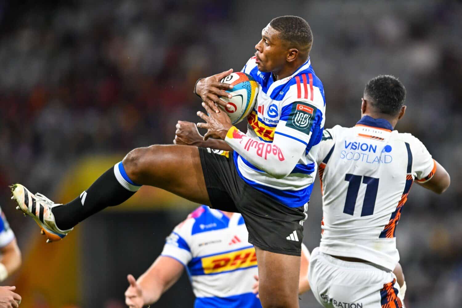 202604Stormers-utility-back-Damian-Willemse
