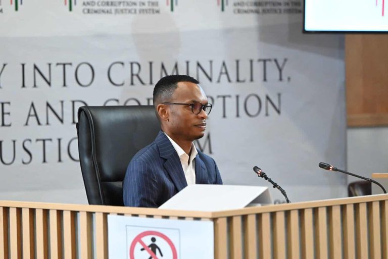 Tshwane CFO Gareth Mnisi Briefly Appears At Madlanga Commission