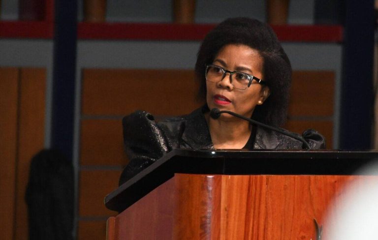 The National Dialogue Of South Africa: First National Convention, Day 1