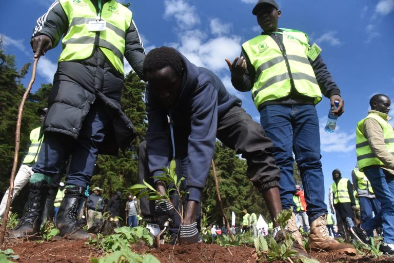 202604Vincent-Chelimo