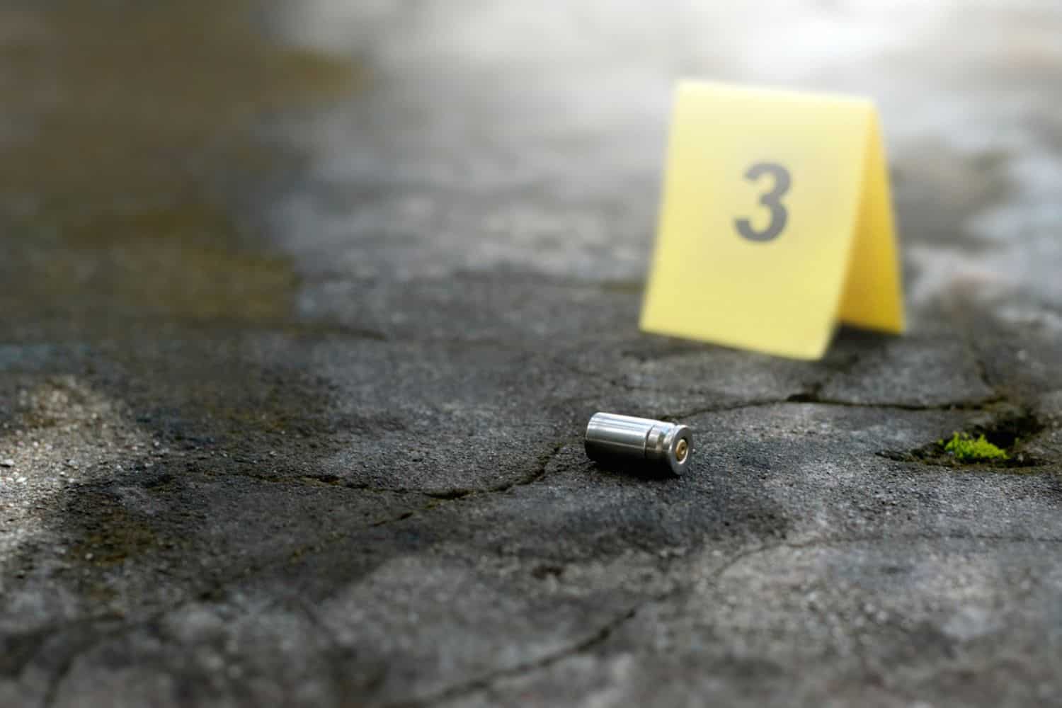 202604Welmer-shooting