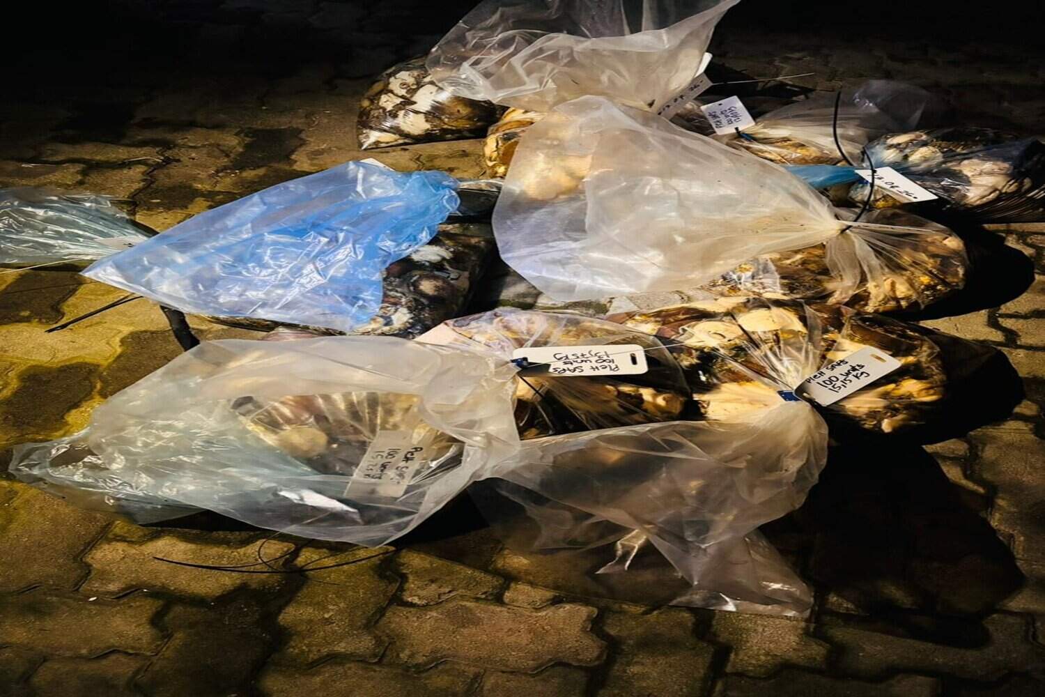 202604WhatsApp-Image-2026-04-14-at-14.38.32