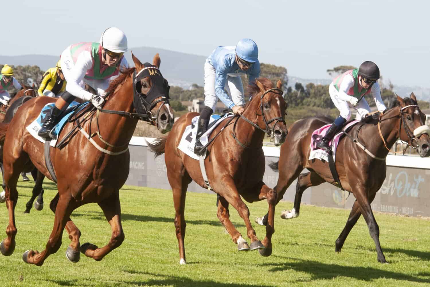 202604general-horse-stock-picture-1