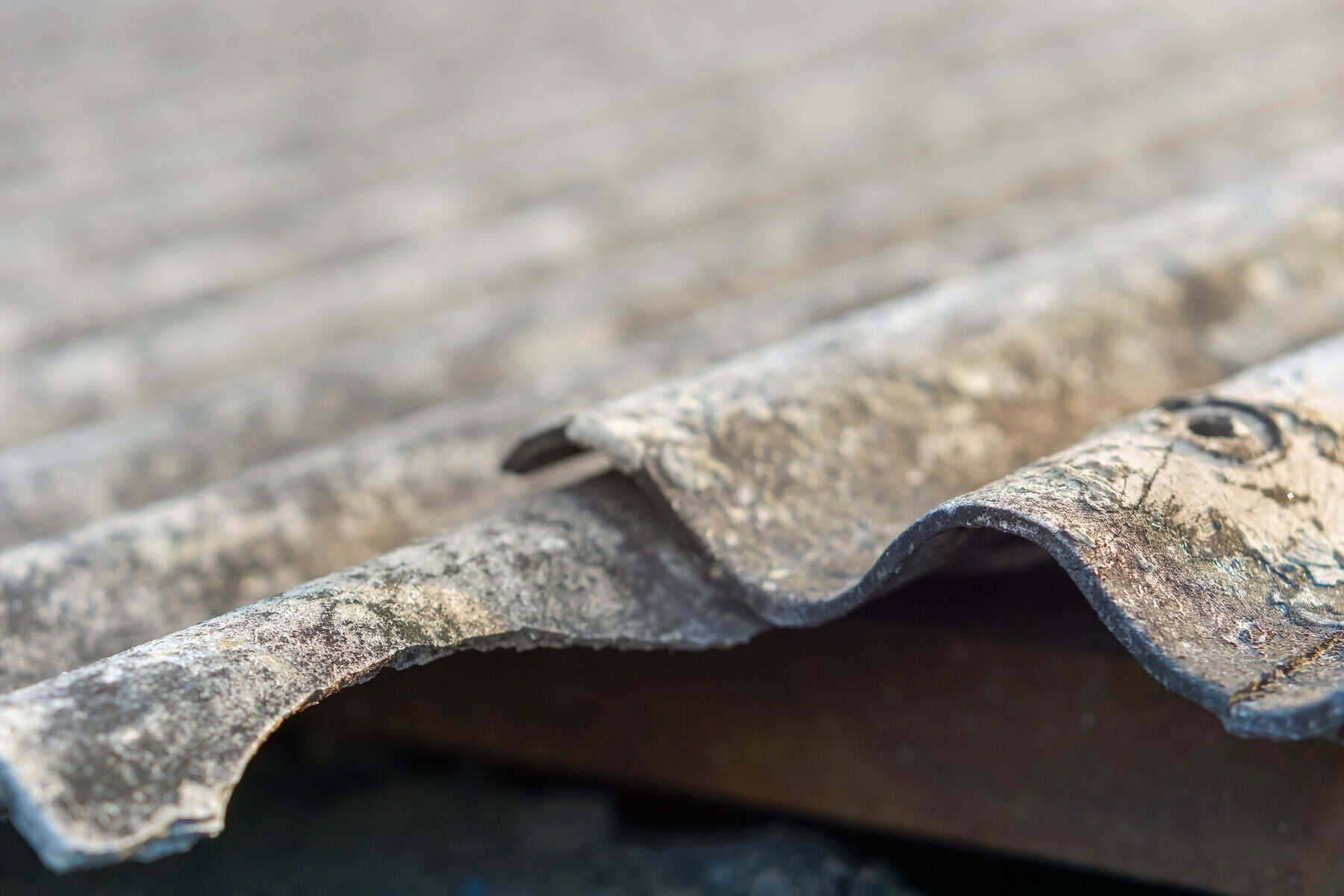 The corrugated asbestos roof has aged and deteriorated, its surface faded by the weather