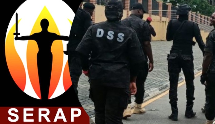 202410Serap-DSS