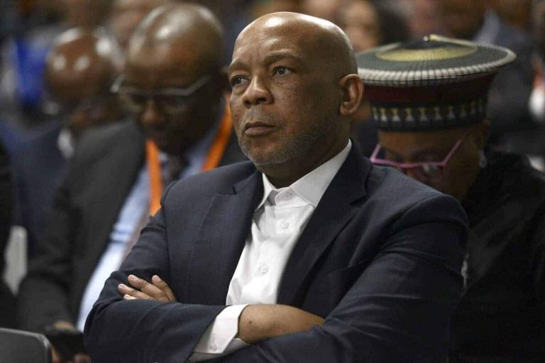 202504Electricity-Minister-Kgosientsho-Ramokgopa-energy-crisis-plan