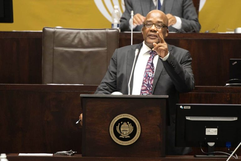 Minister Motsoaledi Table Health Budget Vote 2024/25
