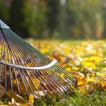Detail of rake in autumn season. Raking in garden.