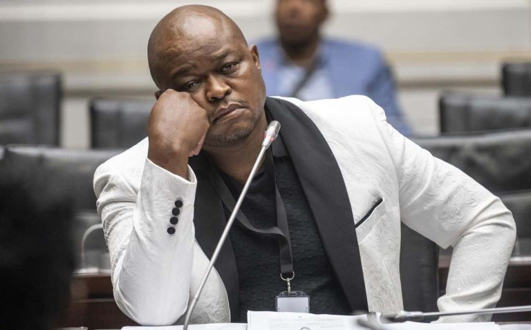 Brown Mogotsi Testifies Before Ad Hoc Committee Probing SAPS Corruption