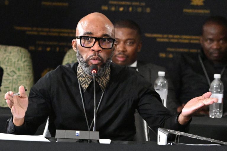Vusimuzi 'Cat' Matlala Testifies Before Ad Hoc Committee: Day 2