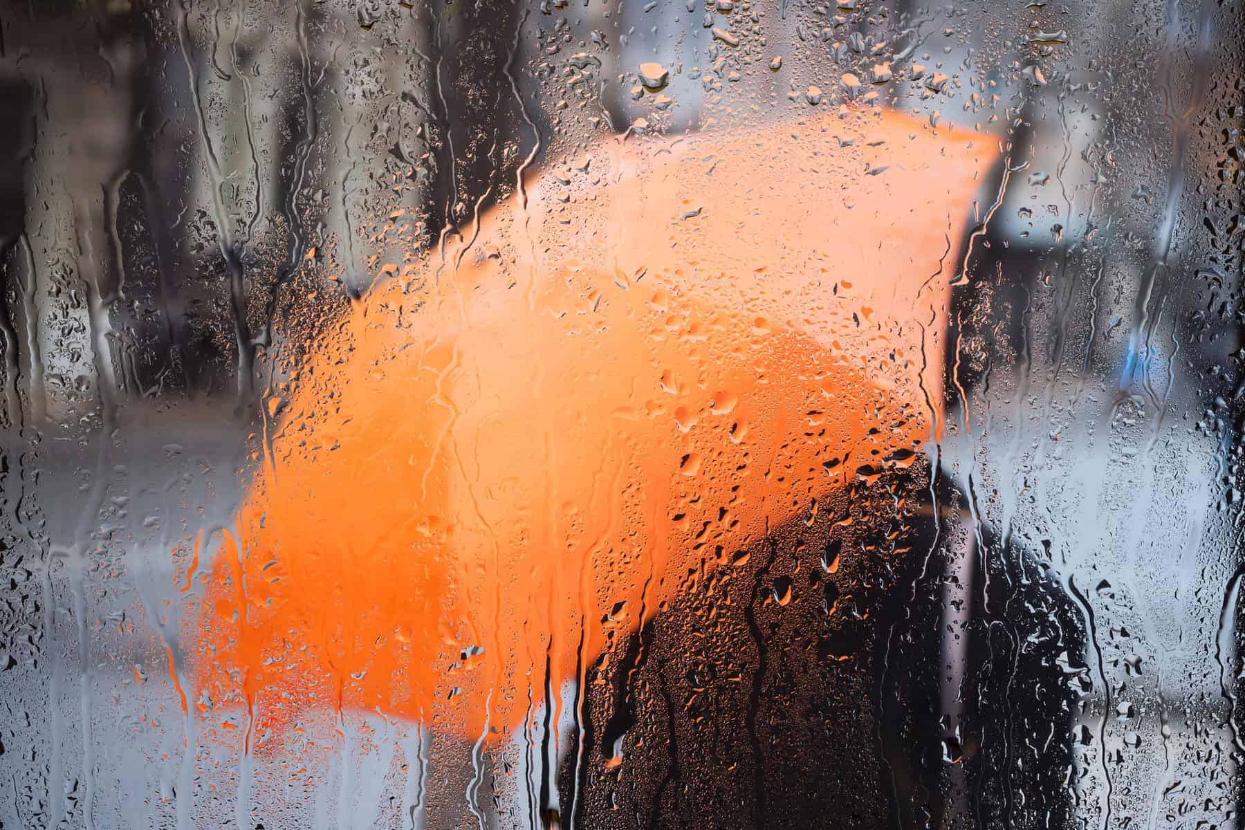 202605Cold-and-rainy