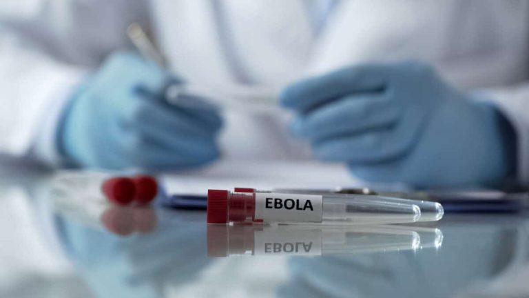 Worker of center for disease control describing effects of ebola virus mutation