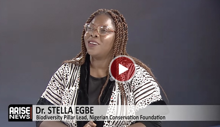 202605Dr-Stella-Egbe