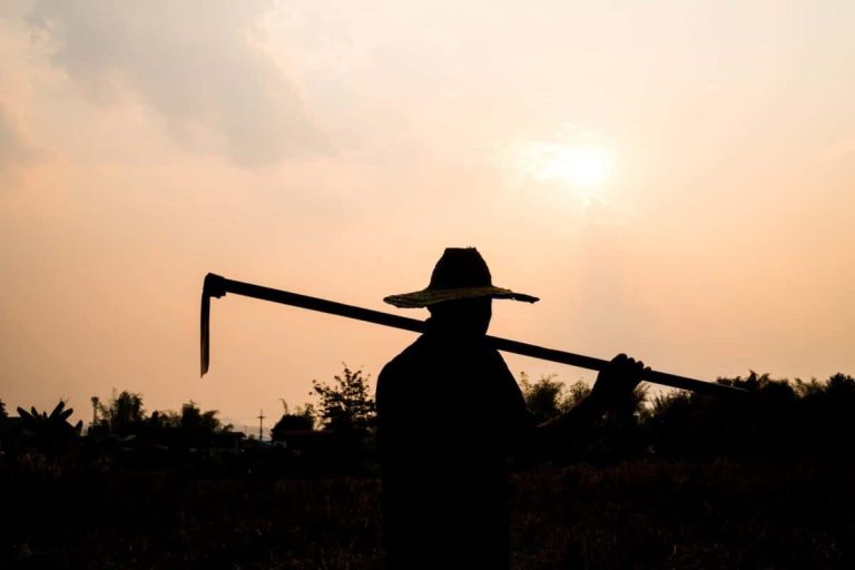 202605Farmers-angry-over-yet-another-disease-vaccine-delay