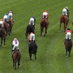 202605Horse-Stock-Star-Major